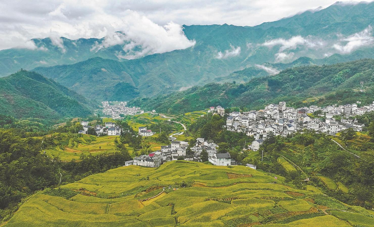 皖江烟雨,安徽古韵芳草画卷