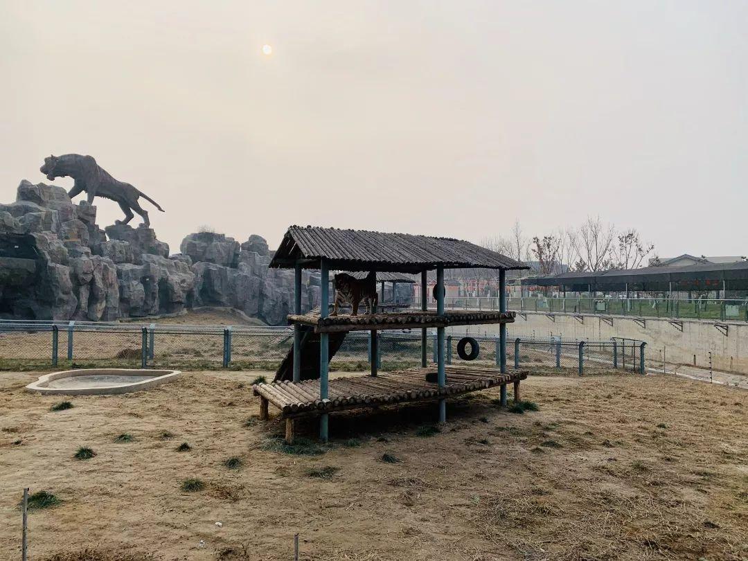 沧州，历史、文化与地理的交融之地